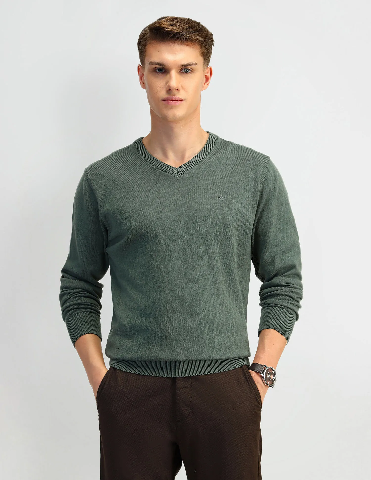 Arrow Solid Regular Fit Sweater