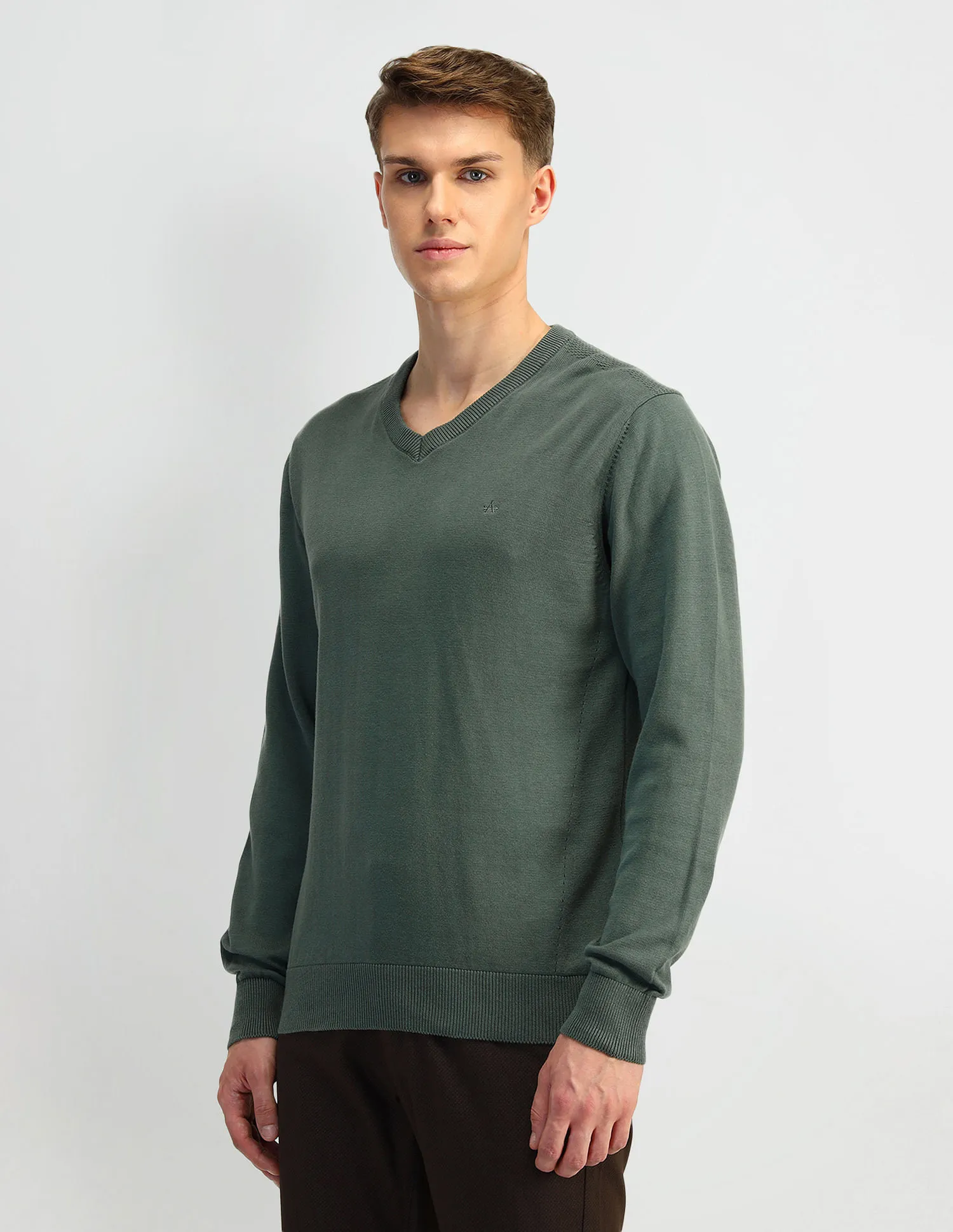 Arrow Solid Regular Fit Sweater