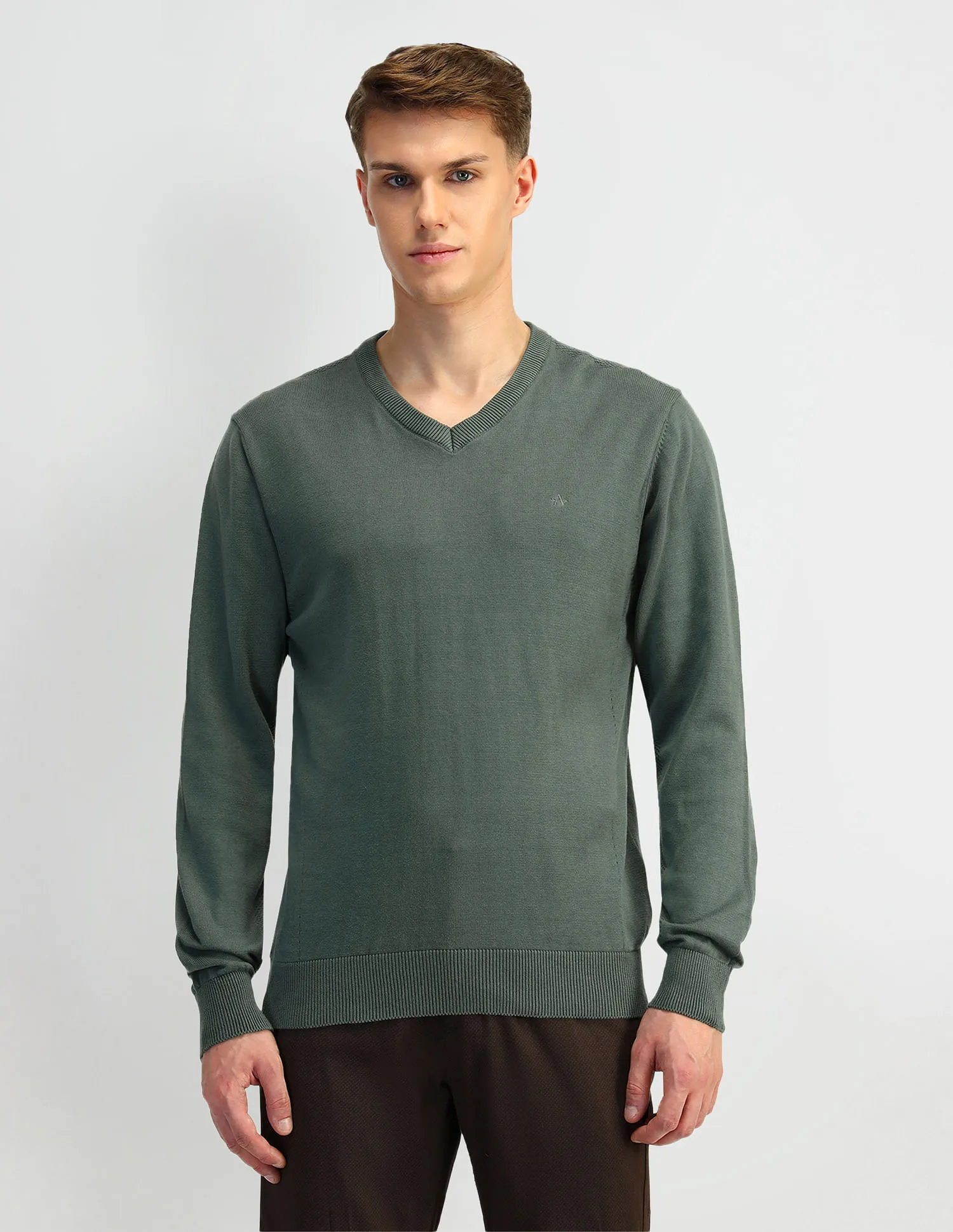 Arrow Solid Regular Fit Sweater