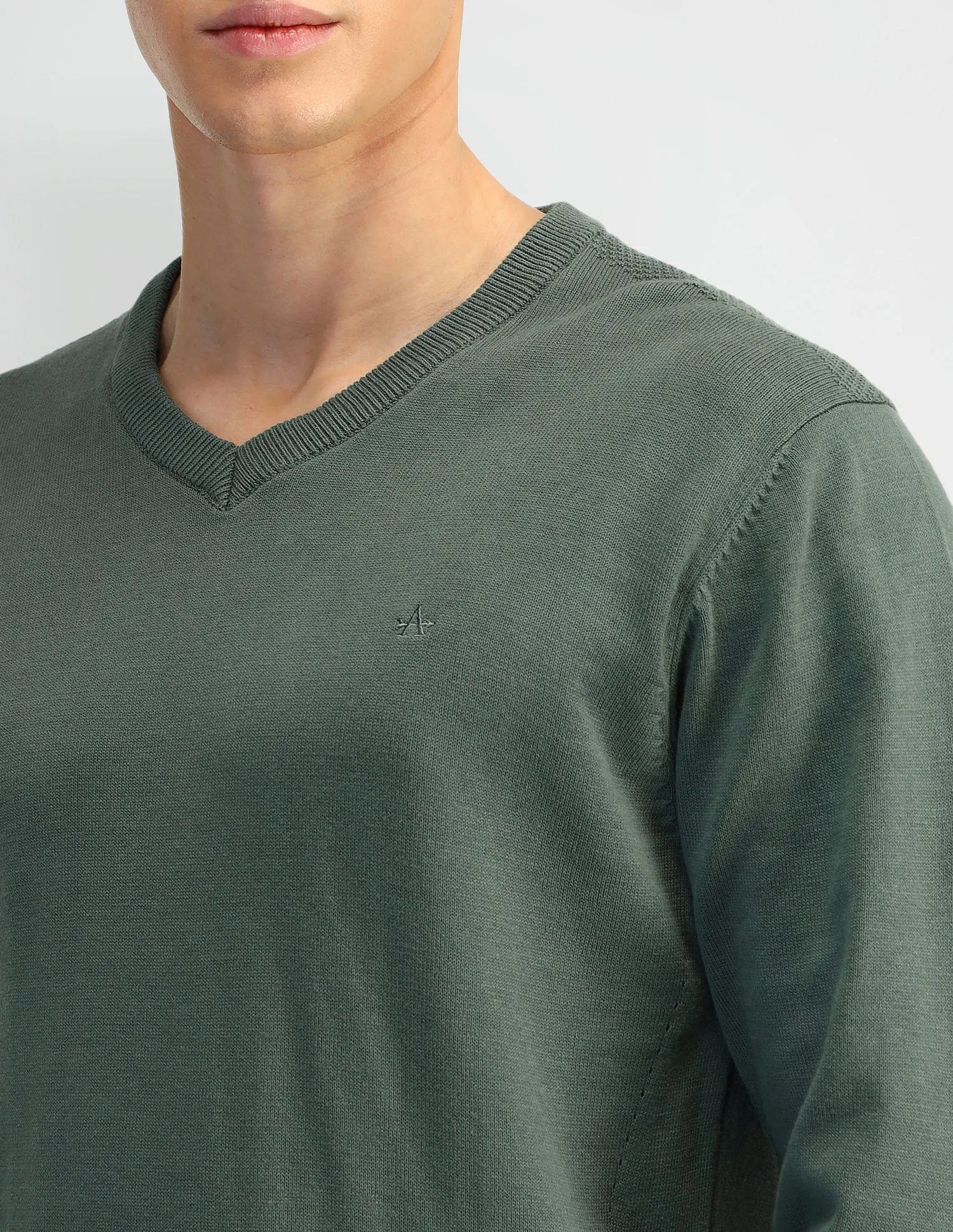 Arrow Solid Regular Fit Sweater