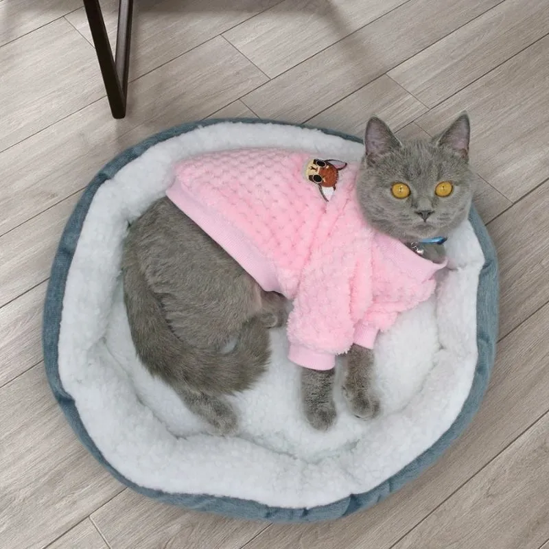 Super Cute Winter Sweater for Cats and Dogs | Petiboo Dog Clothes