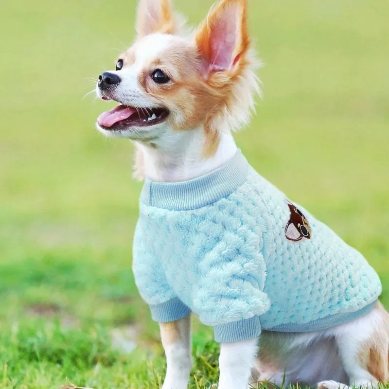 Super Cute Winter Sweater for Cats and Dogs | Petiboo Dog Clothes